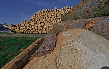 Holz.jpg © Dürnberger