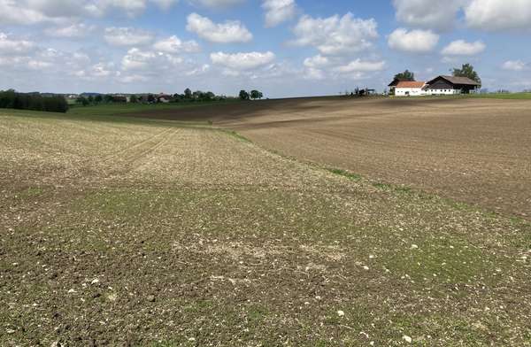  © Land OÖ/Friedl-Haubner