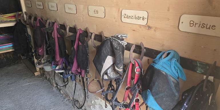 20250611_113949.jpg © LK Tirol