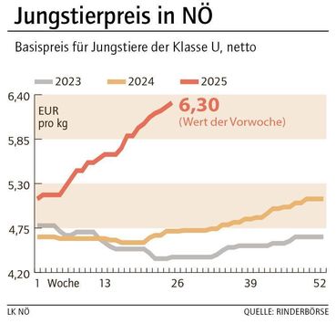 Grafik Stierpreis 26_2025.jpg © LK NÖ