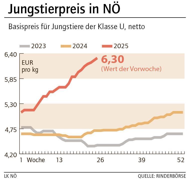 Grafik Stierpreis 26_2025.jpg © LK NÖ