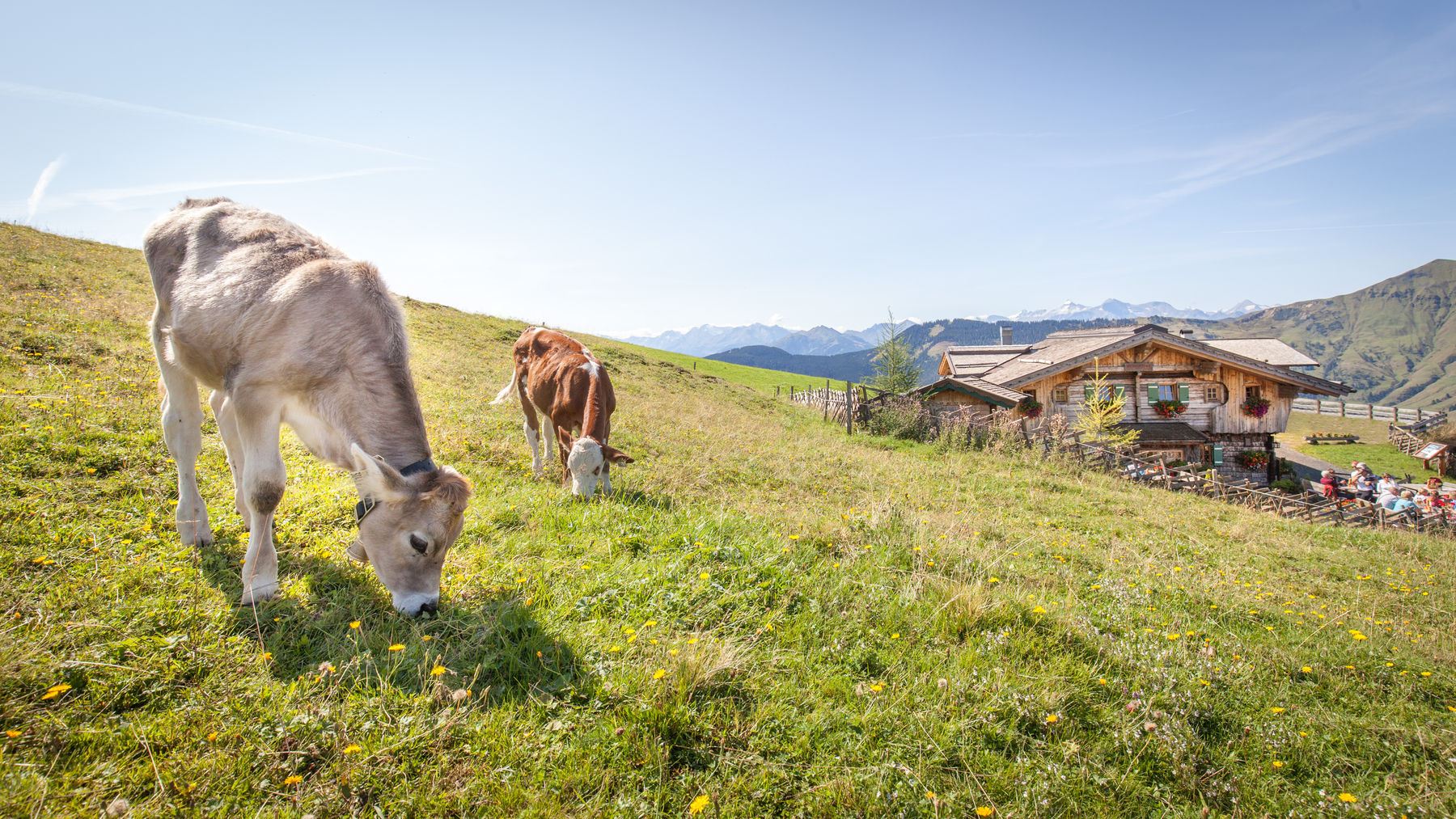 sb26_mt_alm.jpg © Bürgler