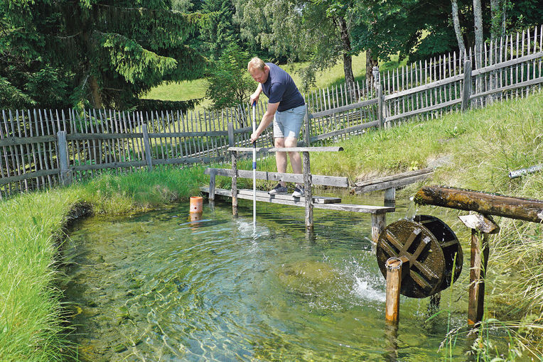Dandlhof.jpg © Archiv