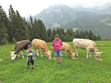 Dandlhof.jpg © Archiv