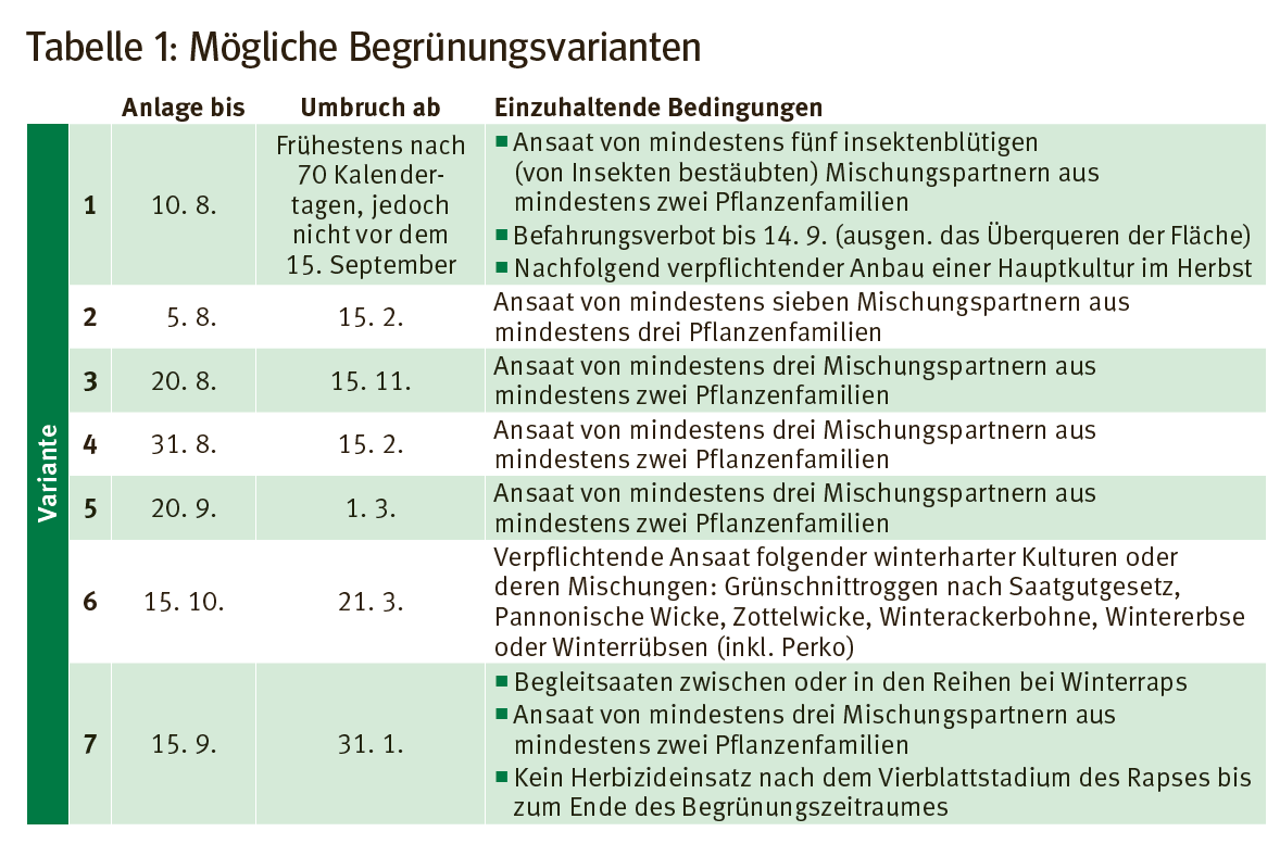 mögliche Begrünungsvarianten.png © LK Kärnten