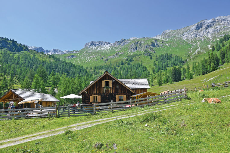 Muhreralm in Zederhaus.jpg © Mooslechner
