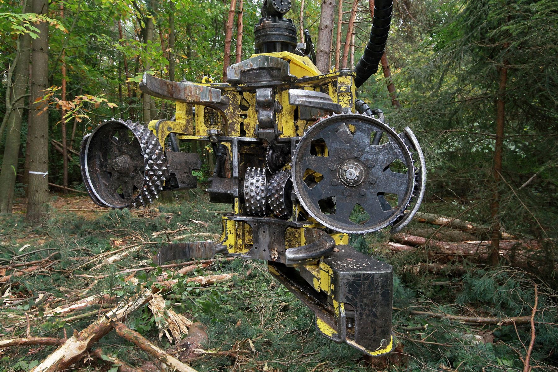 Hholzernte.jpg © stock.adobe.com Hholzernte.jpg © stock.adobe.com