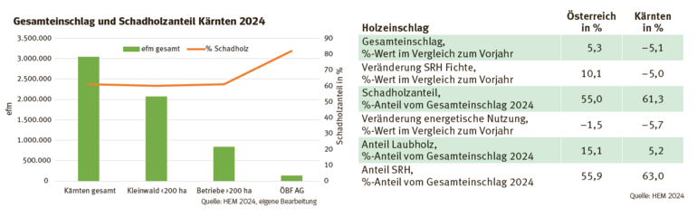 holzeinschlag.png © HEM 2024 holzeinschlag.png © HEM 2024