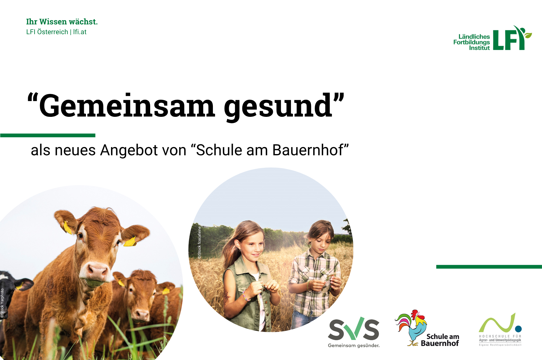 Gemeinsam gsund © LFI