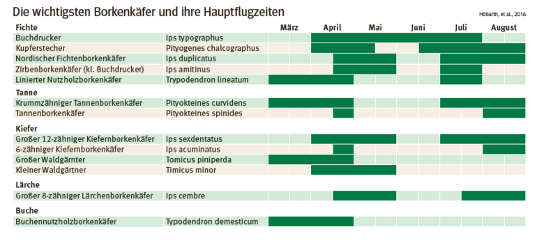 Borkenkäfer Hauptflugzeit.png © Hörbath, et al, 2016