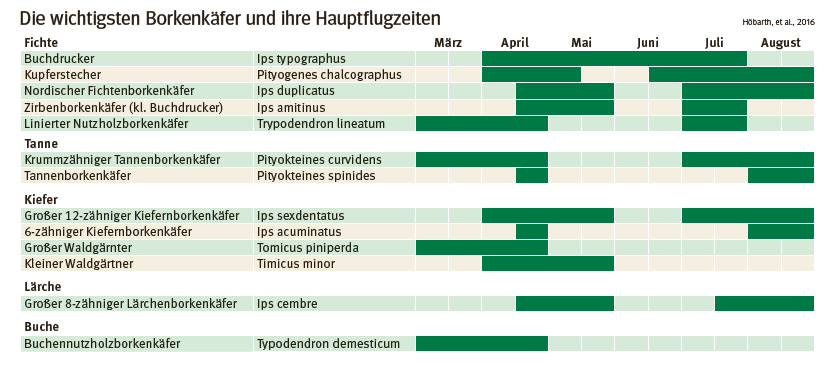 Borkenkäfer Hauptflugzeit.png © Hörbath, et al, 2016