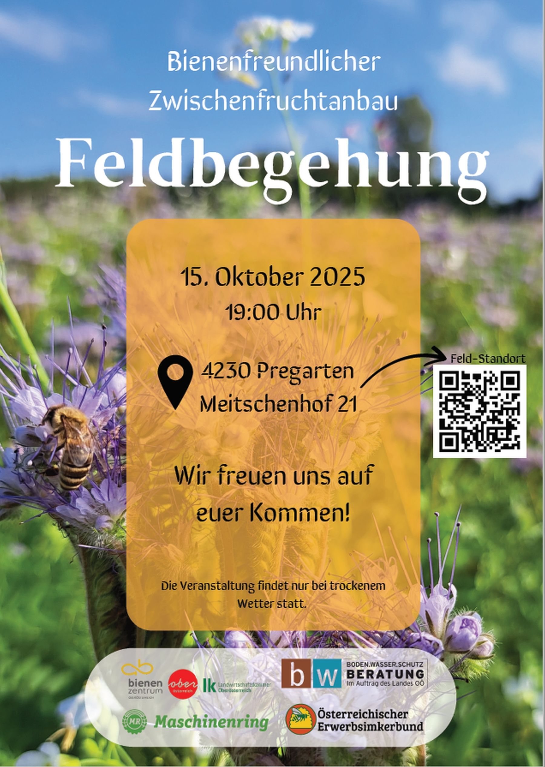 Bienenfreundlicher Zwischenfruchtanbau - Feldbegehungen 15.10.2025 Pregarten.jpg