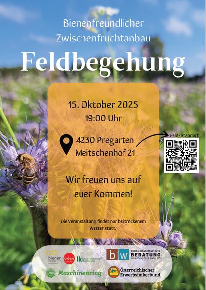 Bienenfreundlicher Zwischenfruchtanbau - Feldbegehungen 15.10.2025 Pregarten.jpg