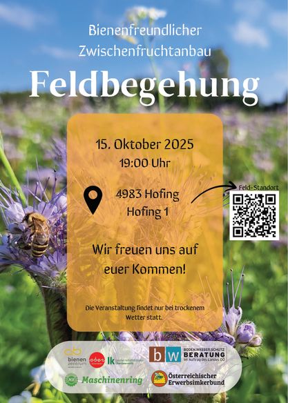 Bienenfreundlicher Zwischenfruchtanbau - Feldbegehungen 15.10.2025 Hofing.jpg