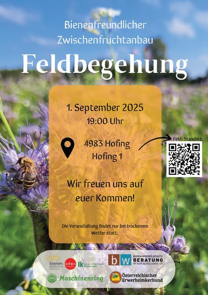 Bienenfreundlicher Zwischenfruchtanbau - Feldbegehungen 01.09.2025 Hofing.jpg