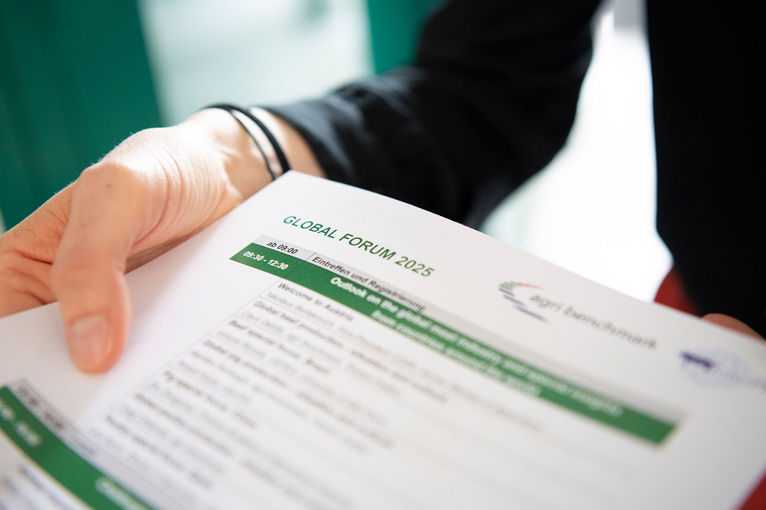 © dielechnerei © dielechnerei