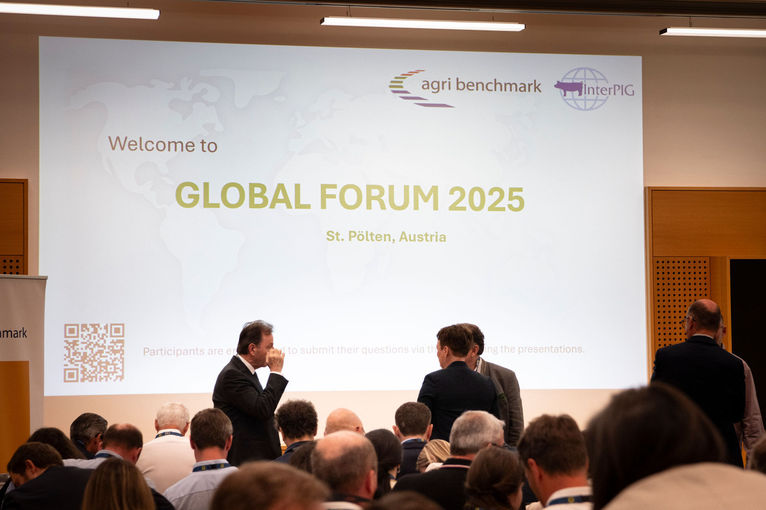 © dielechnerei © dielechnerei