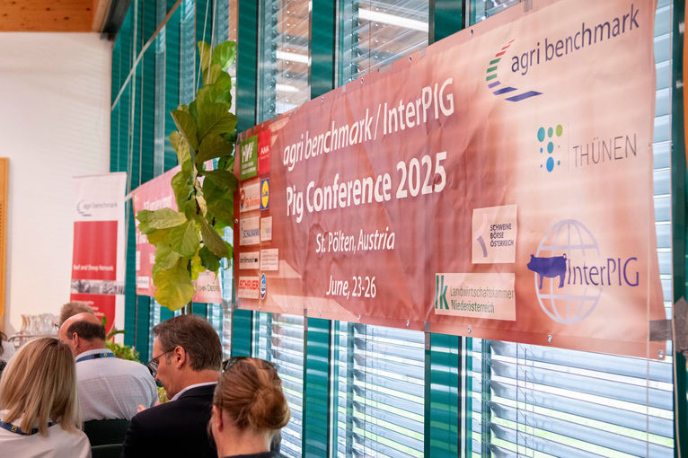 © dielechnerei © dielechnerei