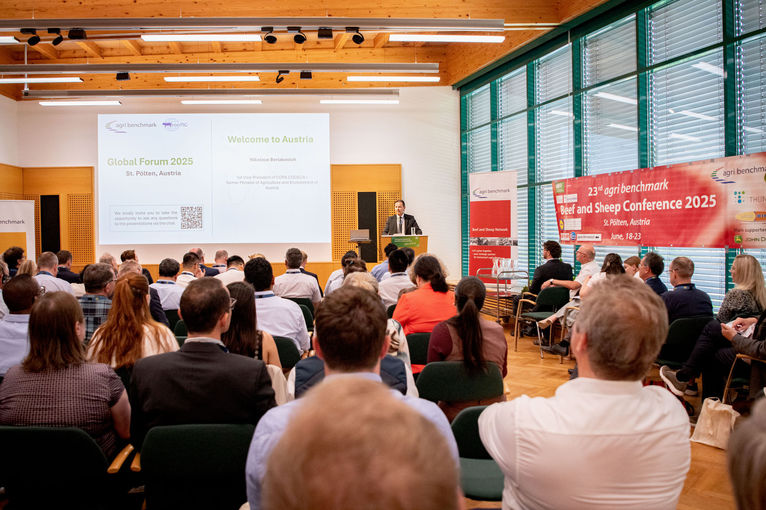 © dielechnerei © dielechnerei