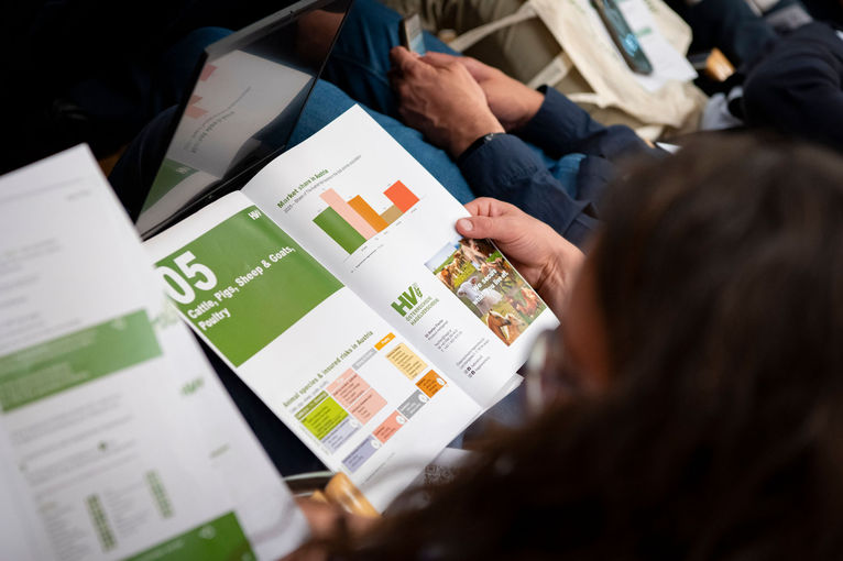 © dielechnerei © dielechnerei