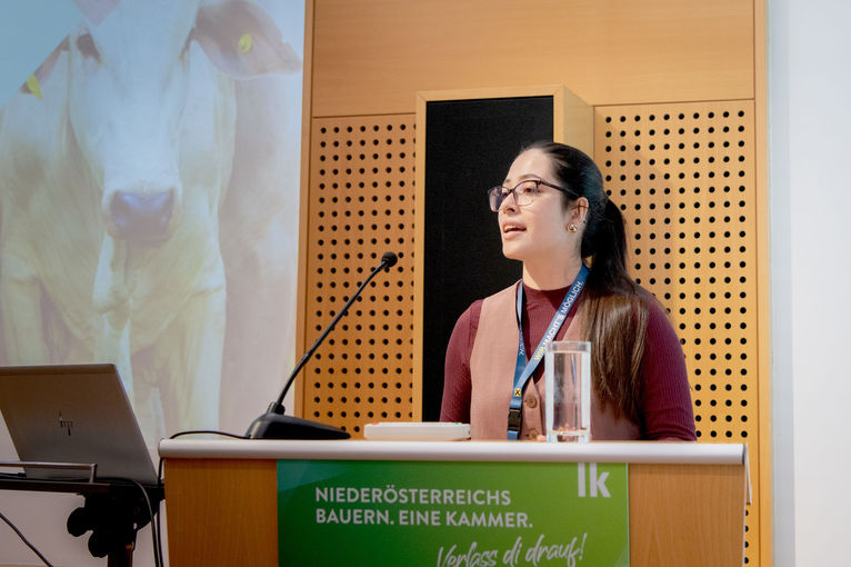 © dielechnerei © dielechnerei