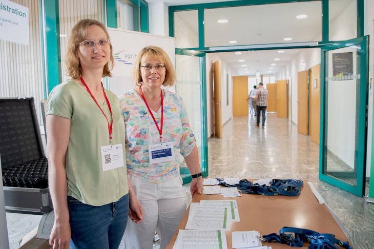 © dielechnerei © dielechnerei