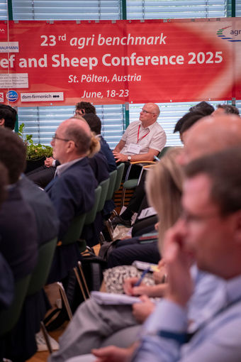 © dielechnerei © dielechnerei