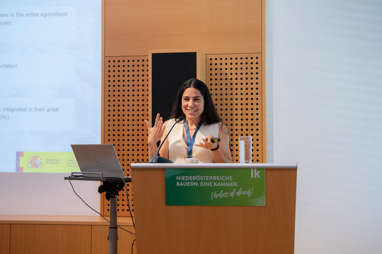 © dielechnerei © dielechnerei