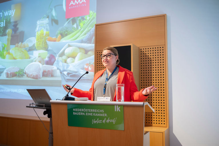 © dielechnerei © dielechnerei