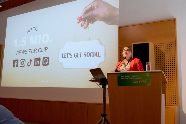 © dielechnerei © dielechnerei