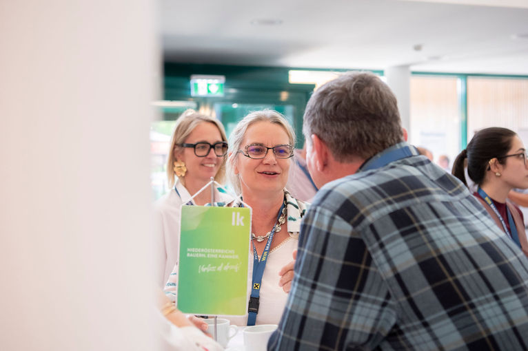 © dielechnerei © dielechnerei