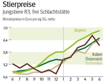 NÖ: Ausblick auf den Schlachtstiermarkt im Juli 2025 © LK NÖ