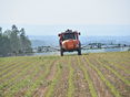 © Landwirtschaftskammer OÖ