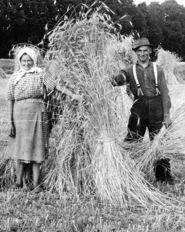Kornmandl.jpg © Archiv