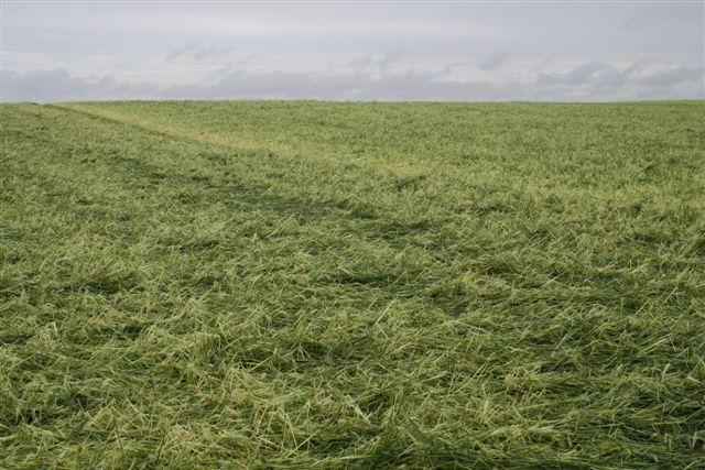 Unwetterschäden.jpg © BBK Zwettl