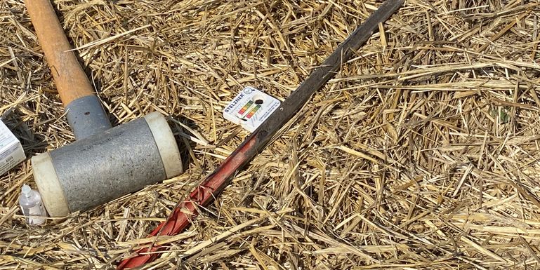 Bodenuntersuchung © DI Claudia Winkovitsch