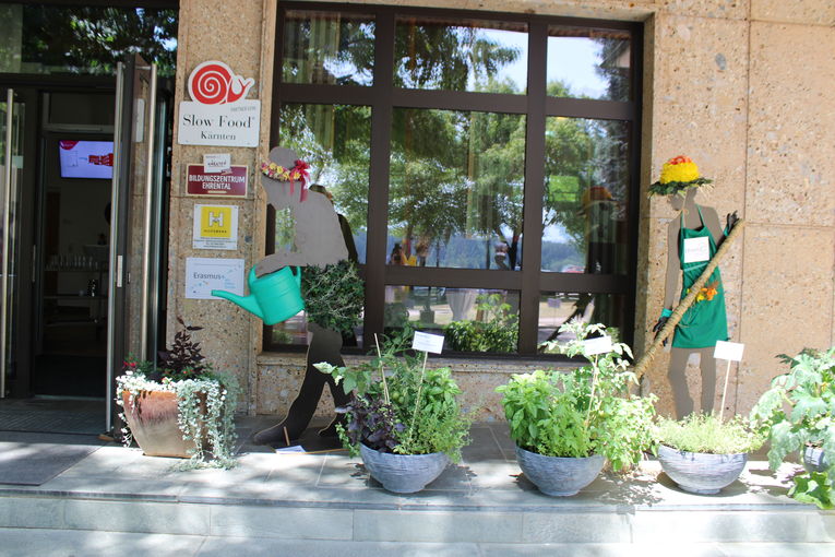 © Frießnegger © Frießnegger