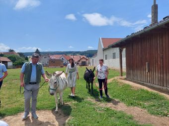 BBK Tullnerfeld.jpg © BBK Tullnerfeld