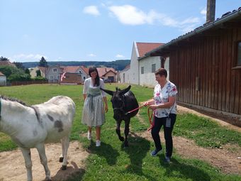 BBK Tullnerfeld.jpg © BBK Tullnerfeld