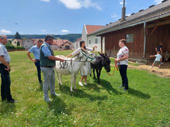 BBK Tullnerfeld.jpg © BBK Tullnerfeld