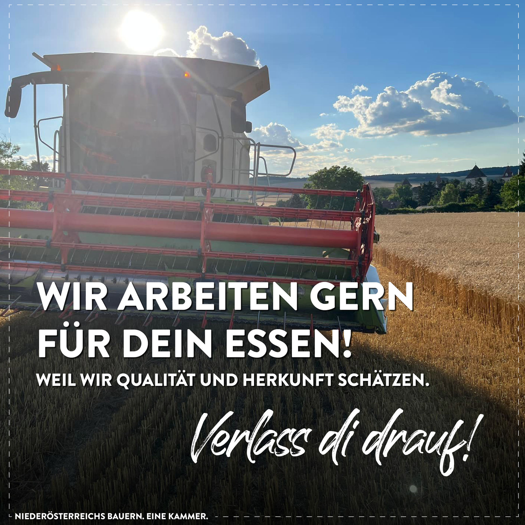 sharebilder_Erntezeit.jpg © LK Niederösterreich