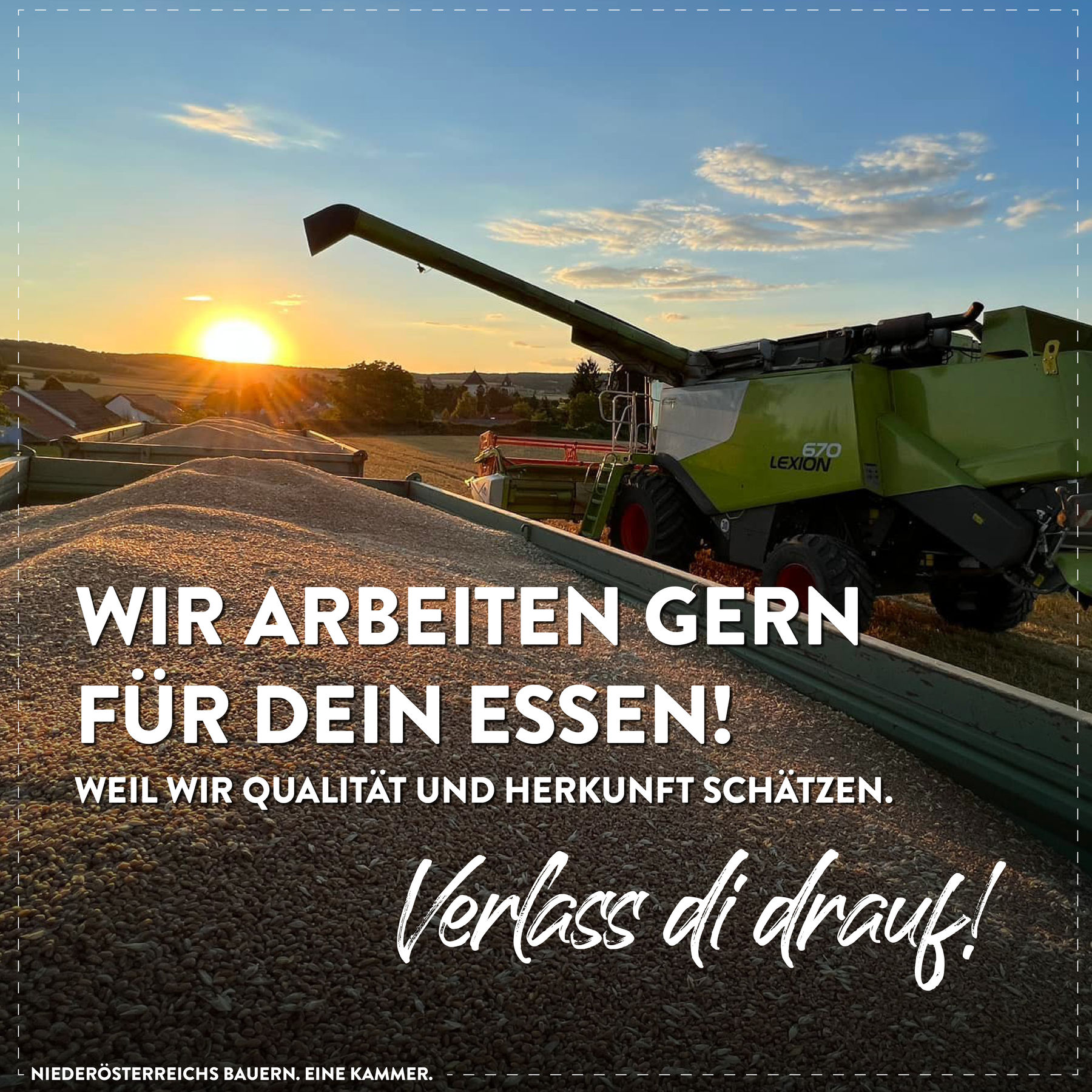 sharebilder_Erntezeit2.jpg © LK Niederösterreich