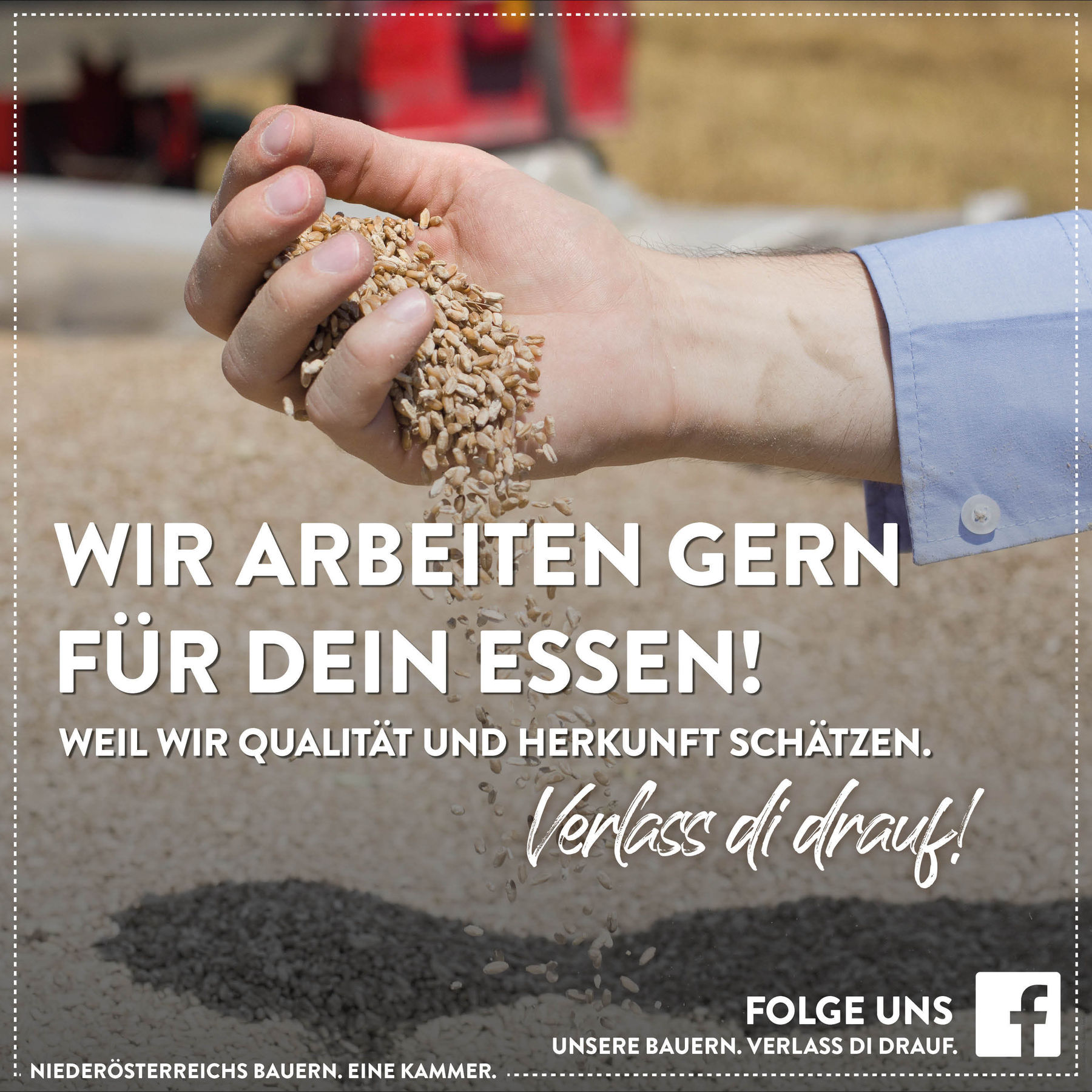 Transparent für Kipper_Online Shop.jpg © LK Niederösterreich