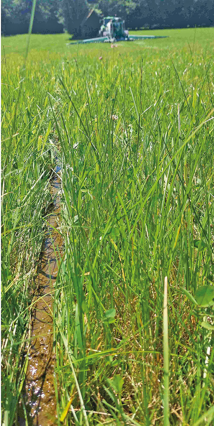 Nährstoffe statt  Verlusten mit  moderner Ausbringung.jpg © Archiv Nährstoffe statt  Verlusten mit  moderner Ausbringung.jpg © Archiv