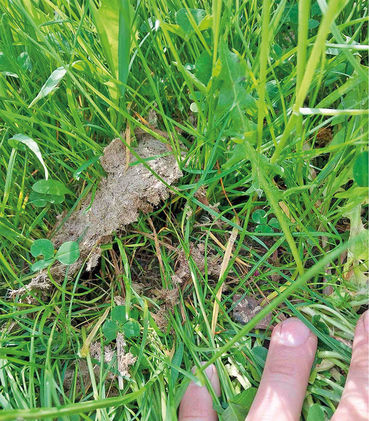 Nährstoffe statt  Verlusten mit  moderner Ausbringung.jpg © Archiv Nährstoffe statt  Verlusten mit  moderner Ausbringung.jpg © Archiv