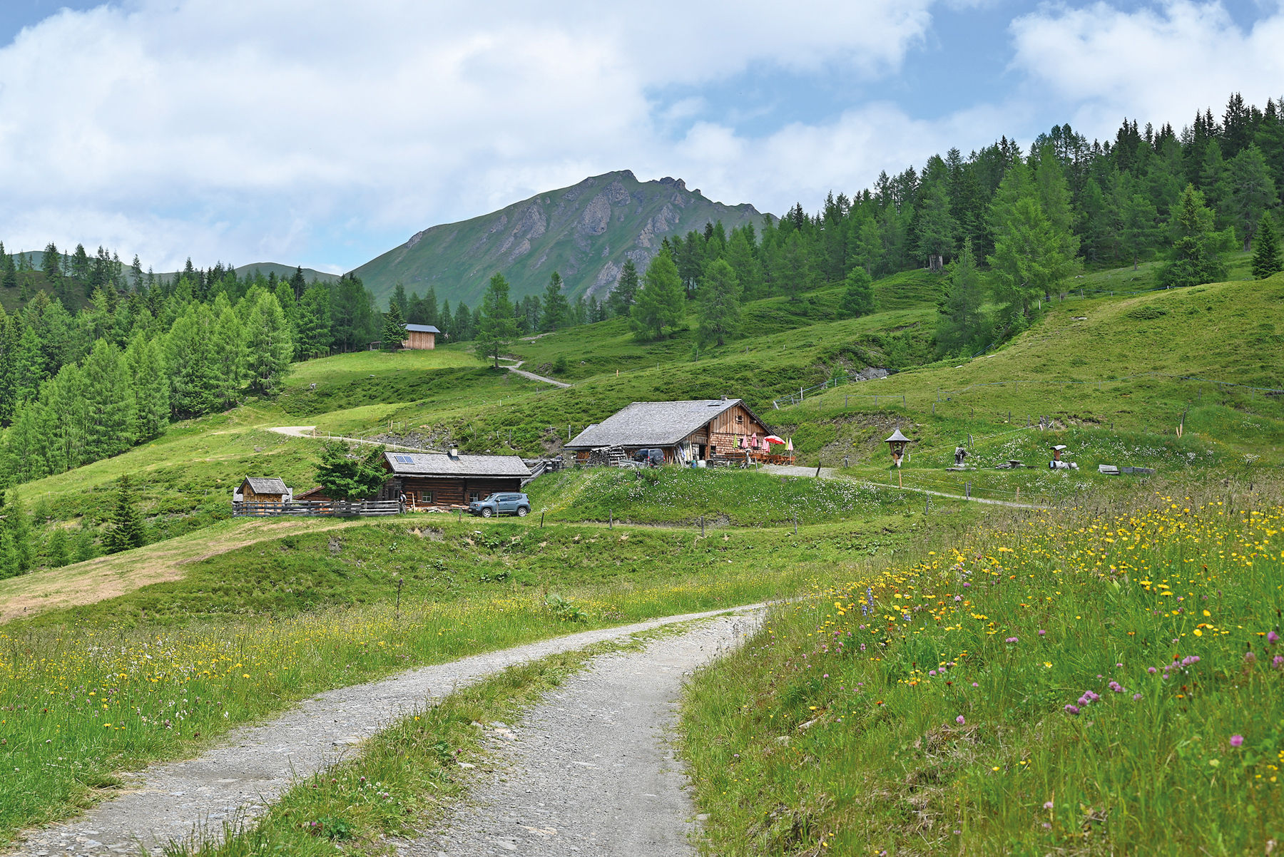 Lercheggalm: Ein Stück Almglück in jedem Laib.jpg © Mooslechner