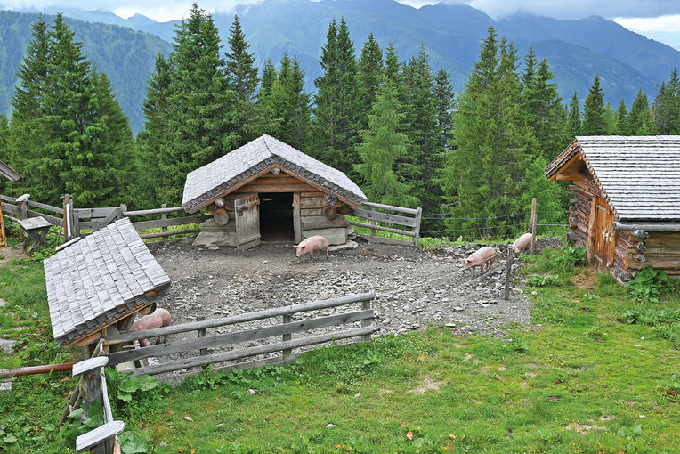 Lercheggalm: Ein Stück Almglück in jedem Laib.jpg © Mooslechner