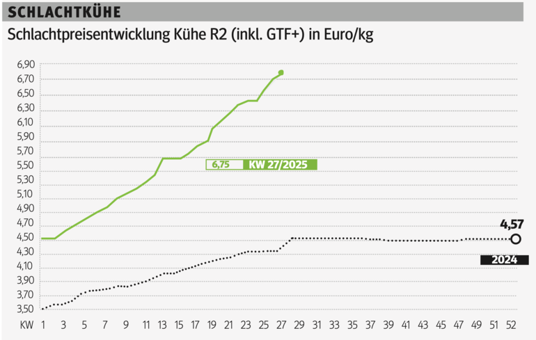 Schlachtkuhgrafik KW 27.png © Grafik RZV