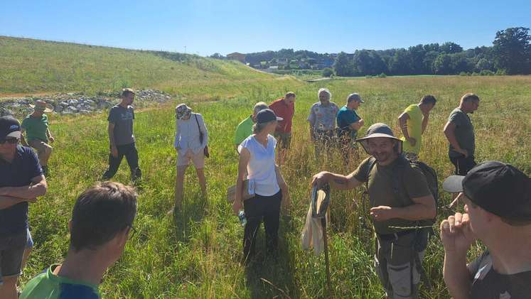 Suchen ...Biodiversitäts- und Bracheflächen in der Praxis in Wartberg an der Krems, 1. Juli 2025