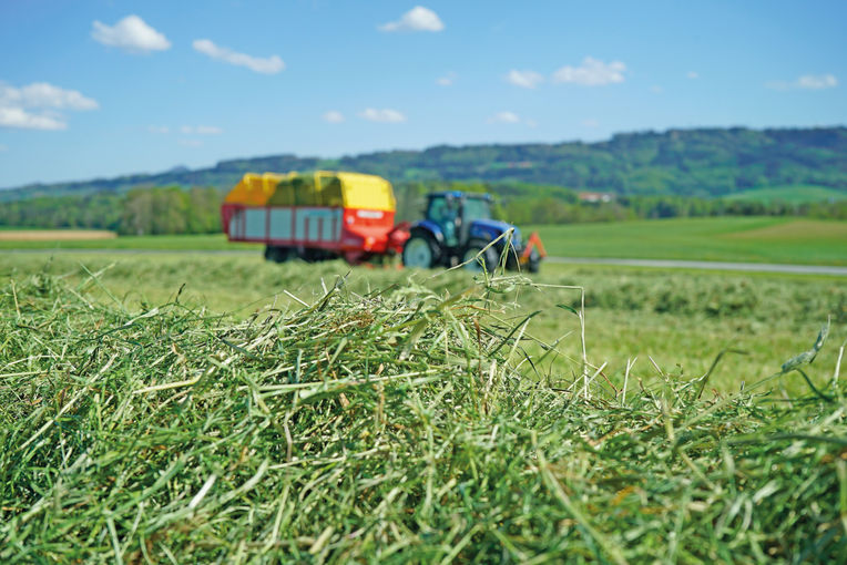 Investitionen in  Heutrocknung  lohnen sich immer.jpg © Dürnberger
